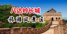 操老阿姨逼中国北京-八达岭长城旅游风景区